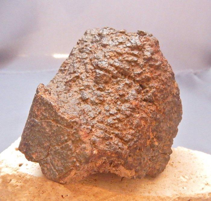 Chondriet Chondrite meteoriet - 517 g - (1), Verzamelen, Mineralen en Fossielen
