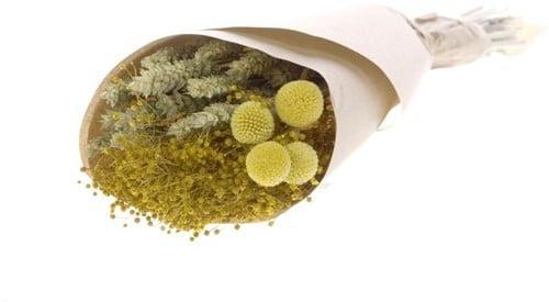 Droogbloemenboeket ass. craspedia/tarwe/broom bloom, Huis en Inrichting, Woonaccessoires | Kunstplanten en Kunstbloemen, Nieuw