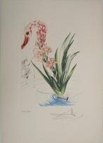 Salvador Dali (1904-1989) - Hibiscus ; Flamant rose
