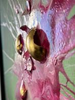 Santicri - Big Bang #4