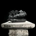 sculptuur, NO RESERVE PRICE - A Replica of Dinosaur Skull -