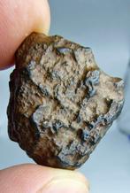 Dit is een van slechts 10 meteorieten die zijn goedgekeurd, Verzamelen, Mineralen en Fossielen