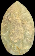 Neolithisch Vuursteen punt van een biface-speer uit de