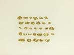Glanzende goudklompjes - Yukon/Canada 0,51 gr Goud nuggets-
