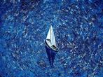 Jasmin Navoyan - BLUE SILENCE. Sailboat, SEA serie