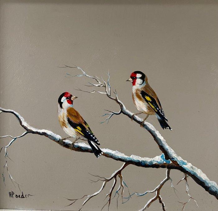 HPoeder - Vogels, Antiek en Kunst, Kunst | Schilderijen | Modern