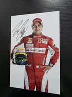 Ferrari - Formule 1 - Felipe Massa - Felipe Massa - Scuderia, Collections