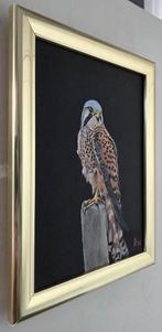 R.Benda (1953) - Torenvalk in mooie pose