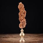 Cabinet de curiosités - Perfect Crystals - Rose du désert -, Collections