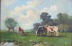F. van Osch (XX) - Landschap met koeien, Antiek en Kunst, Kunst | Schilderijen | Klassiek