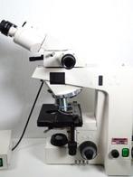 Microscoop - Axioscope 50 - 2010-2020 - Zeiss