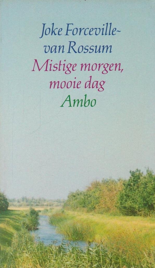 Mistige morgen mooie dag 9789026309212, Boeken, Psychologie, Gelezen, Verzenden