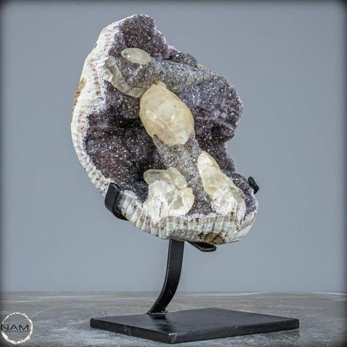 Incroyable Stalactite en Améthystes avec des Cristaux de, Verzamelen, Dierenverzamelingen