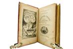 Jules Verne / Riou - Les Enfants du Capitaine Grant - 1890