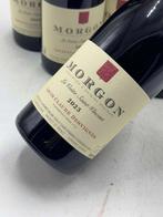 2023 Louis Claude Desvignes Morgon la voûte Saint-Vincent -, Nieuw