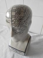 Figuur - Schedel leer - Phrenology by L. N. Fowler -, Antiek en Kunst