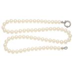 Collier - 18 carats Or blanc - Perle