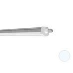 Ledvance 44W/6500K 120cm | Vervangt 2x36W, Doe-het-zelf en Bouw, Ophalen of Verzenden, Nieuw