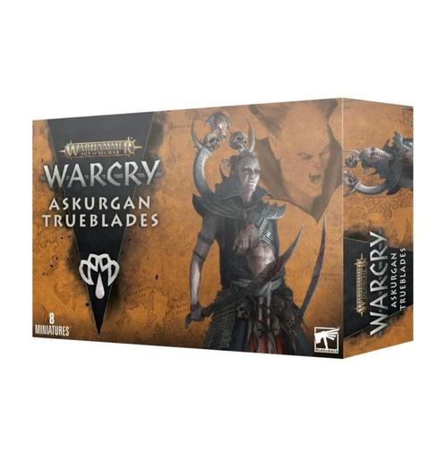 Warcry Askurgan Trueblades (Warhammer nieuw), Hobby en Vrije tijd, Wargaming, Ophalen of Verzenden