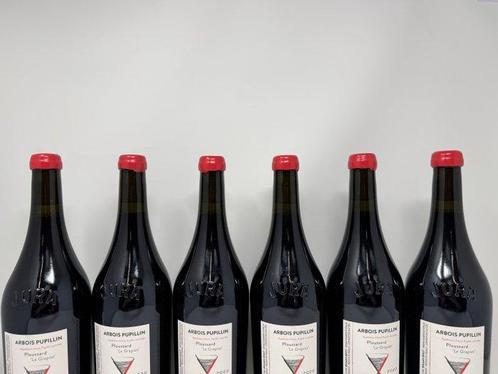 2022 Cellier Saint Benoit Arbois Pupillin Ploussard Le, Verzamelen, Wijnen