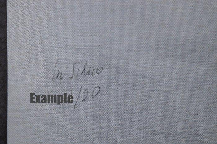 Marta Romashina - In Silico, Antiek en Kunst, Kunst | Designobjecten