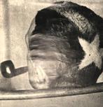 Marcel DUCHAMP (1887 - 1968) - Poster Original Exposición -