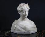 P. Balestra (19° sec.) - Sculpture, Busto raffigurante, Antiquités & Art