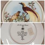 Limoges - Assiette (12) - Faïence - Chasseurs doiseaux du