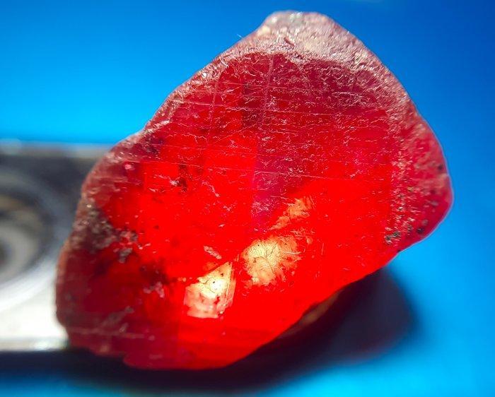 POKER GEMS - 32,9 ct - Natuurlijk smaragd, robijn, saffier,, Verzamelen, Mineralen en Fossielen