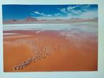 George Steinmetz - GEO travel Poster Bolivia  La Laguna