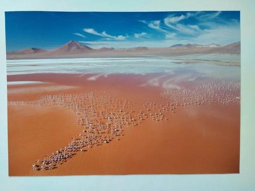 George Steinmetz - GEO travel Poster Bolivia  La Laguna, Antiek en Kunst, Kunst | Tekeningen en Fotografie