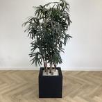 kunstplant bamboe met pot, 198 cm hoog, Huis en Inrichting, Kamerplanten