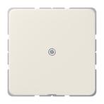 Jung CD500 Inlegplaat Schakelkast - 590A, Doe-het-zelf en Bouw, Verzenden, Nieuw