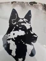 Table émaillée de berger allemand - Plaque émaillée - Acier, Antiek en Kunst