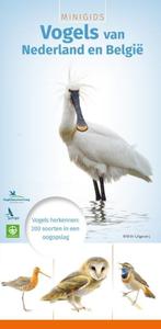 Minigids Vogels van Nederland en Belgie 9789050115339, Verzenden, Gelezen, Jip Louwe Kooijmans