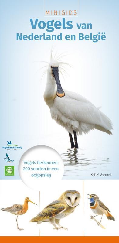 Minigids Vogels van Nederland en Belgie 9789050115339, Boeken, Taal | Engels, Gelezen, Verzenden