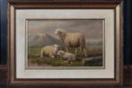 École belge (XIX) - Schapen in de Wei
