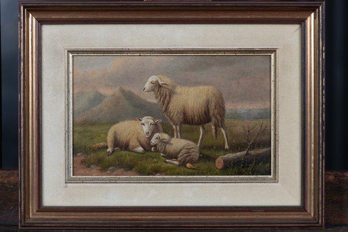 École belge (XIX) - Schapen in de Wei, Antiquités & Art, Art | Peinture | Classique