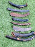 Wolharige mammoet - Fossiele rib - Mammuthus primigenius -