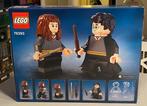 Lego Set - 76393 - Harry Potter - Harry Potter & Hermione, Enfants & Bébés, Jouets | Duplo & Lego