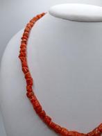 Bloedkoraal Koraal - Corallium rubrum (Zonder minimumprijs)