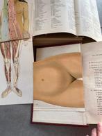 Doctoresse Houdré - Ma Doctoressse - 1928-1931