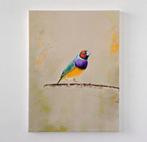 Matthieu van Riel - Gouldian Finch, Antiek en Kunst