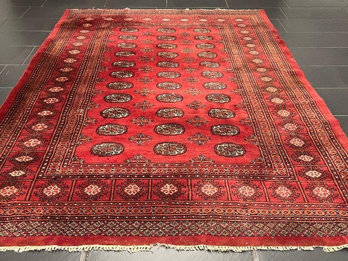 Buchara - Tapis - 260 cm - 190 cm, Antiek en Kunst, Curiosa en Brocante