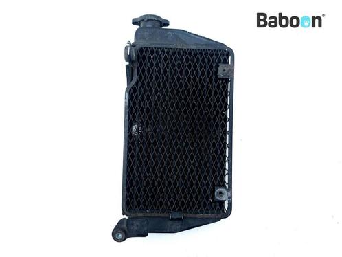 Radiateur Kawasaki KLR 650 1989-1993 (KLR650 KL650A), Motoren, Onderdelen | Kawasaki, Gebruikt, Verzenden