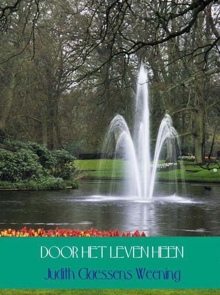 Door het leven heen 9789462542730 Judith Claessens Weening, Boeken, Literatuur, Zo goed als nieuw, Verzenden