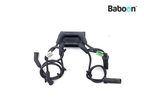 Bobine Harley-Davidson FLHTKL Ultra Limited Low 2017-2018, Motoren, Onderdelen | Harley-Davidson, Verzenden