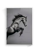 Jorge Omeñaca - Horse attack