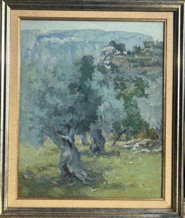 Pascual de Cabo (1952-) - Los olivos, Antiek en Kunst, Kunst | Schilderijen | Klassiek