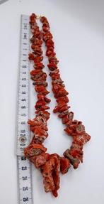 Bloedkoraal Koraal - Corallium rubrum (Zonder Minimumprijs), Nieuw